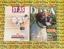 Rivista Magazine del