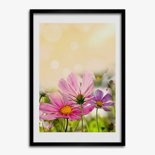 Quadro Tulup MDF incorniciato