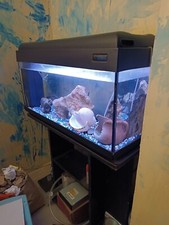 Acquario Poseidon Usato