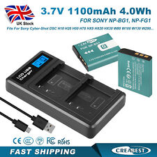 2 pezzi NP-BG1 NP-FG1 batteria + caricabatterie per Sony Cyber Shot DSC-T20 T100 H10 H20 H50