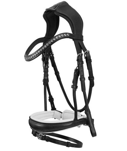Testiera inglese cavallo - inglese, a