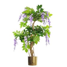 Albero di glicine viola
