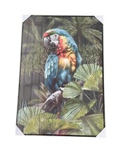 QUADRO DI PAPPAGALLO SU TELA