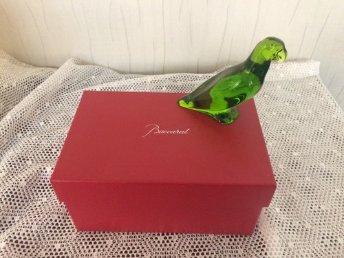 Pappagalli colore verde - pappagalli,