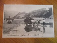 Cartolina - Costumi Emiliani -VG 1902 x Cavezzo Postcard Antonio Jurizza Bologna