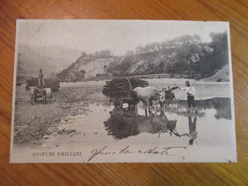 Cartolina costumi emiliani - -,