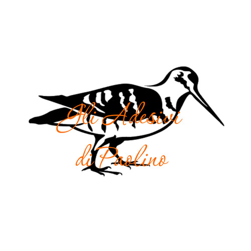 Adesivo beccaccia scolopax - beccaccia,