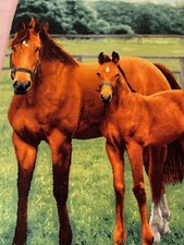 Tappeto persiano cavalli