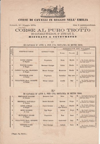 Corsa puro trotto cavalli - corsa,