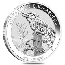 Australian Kookaburra 2016 1 Dollaro 1 OZ (31,1 gr.) Argento 999 Silver CAPSULA