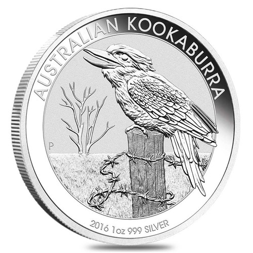 Australian kookaburra 2016 - kookaburra, 1