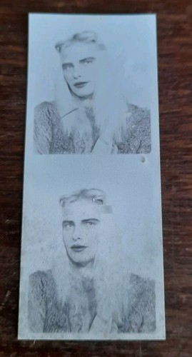 Ilona staller cicciolina - ilona, cicciolina/