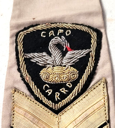 Raro scudetto carrista - da,