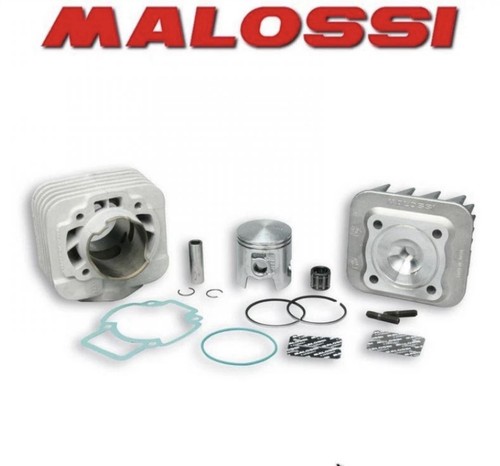318463 gruppo termico malossi - 318463,
