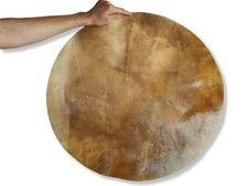 Testa di batteria, pelle grezza di cavallo, sciamanico, Djembe, Bongo, Conga, Bodhran