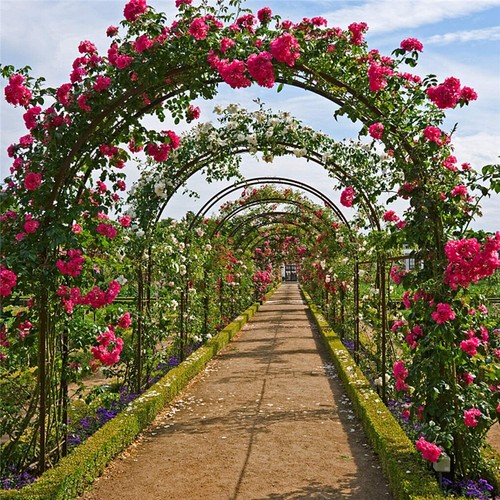 Heavy duty metal garden - duty, arch