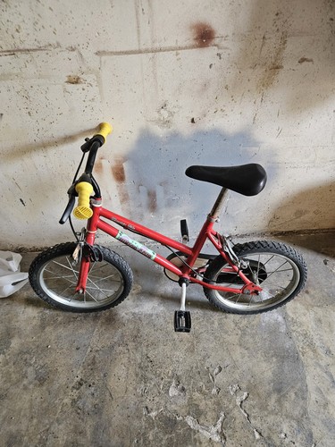 Bici bambino - bambino, 16