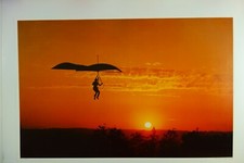 Poster vendita 1974 originale