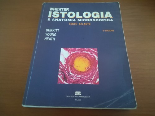 Istologia anatomia - e,