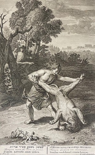 Sanson strappa cucciolo - cucciolo, di