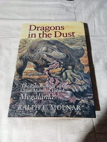 Dragons the dust - in,