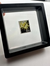 Pikachu Pokemon Timbro Mini