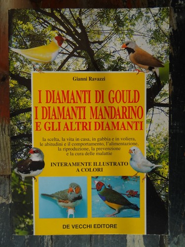 Diamanti gould i - diamanti,