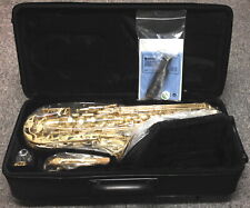 Sassofono contralto standard