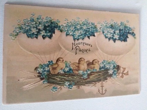 Pasqua pulcini fiori - pasqua,