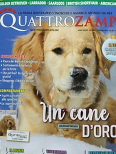 Quattrozampe 2020 157.Golden Retriever,Labrador,British Shorthair,American Curl