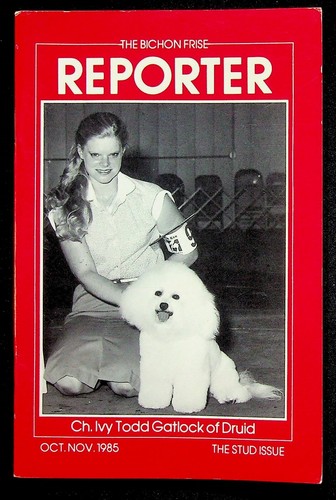 The bichon frise reporter - frise,