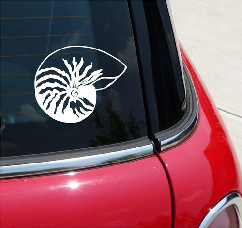 Nautilus conchiglia - nautilus,