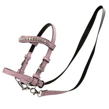 My Hobby Cavallo - Briglia per