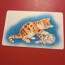 Scheda telefonica gatto - scheda,