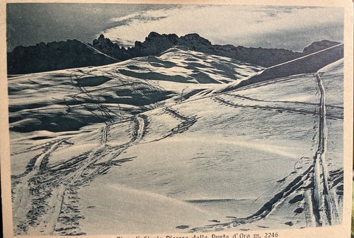 Alpe siusi discesa dalla - alpe,