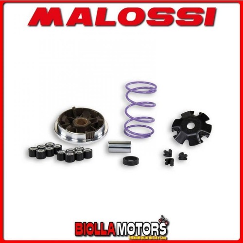 518648 variatore malossi - malossi, mhr