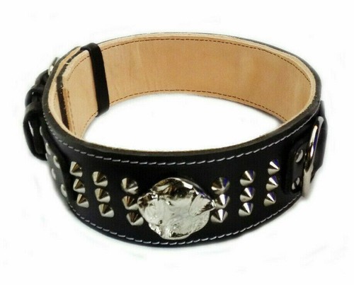 Collare per cani nero