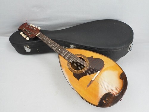 Custodia rigida mandolino - , in