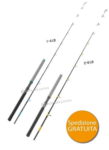 Canna tubertini sea master - master, 7'