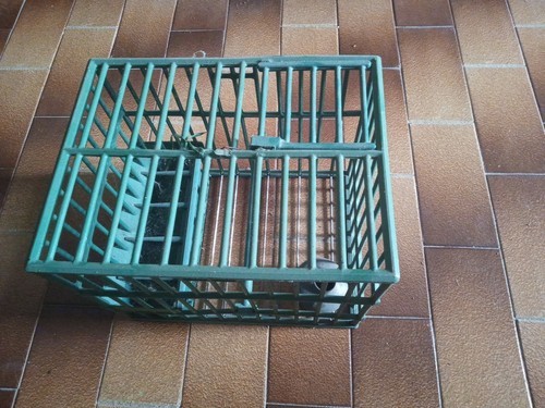 Gabbia per turdidi - gabbia, vintage