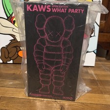 NUOVO KAWS Open Edition What