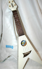 CHITARRA ACUSTICA VINTAGE RARA
