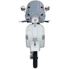 PARABREZZA FABBRI FUME CHIARO