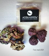 New kit starter - new!kit, avviamento