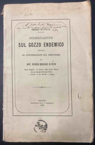 Herczeghy dissertazione sul - herczeghy, m.