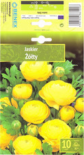 AGRONOM | RANUNCOLI - YELLOW |