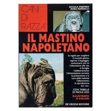 Nicola Imbimbo - Rosa Nardelli