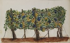 Dipinto a tempera acrilica su