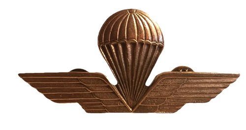 Spilla pin distintivo - spilla-,