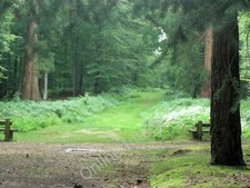 Photo 12x8 Ride into Poundhill